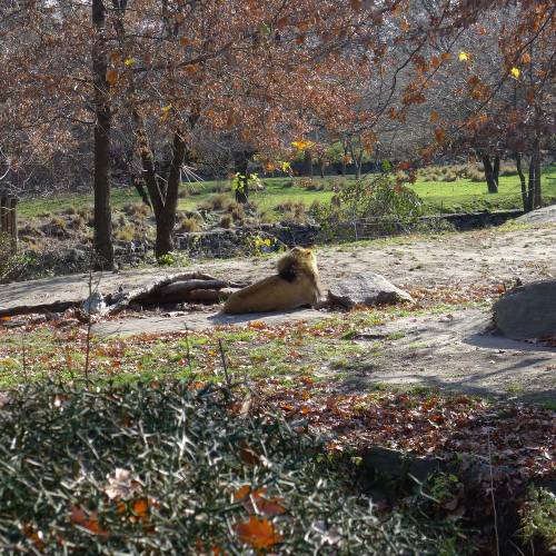 USA_2011-11-21 12-56-53